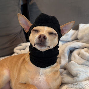 Meet your Posher, Adrian